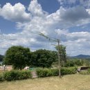 금은모래 캠핑장 이미지