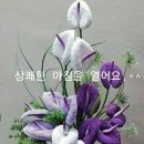 행복상사 이미지