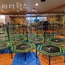 바디오투