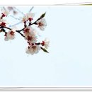 산본중앙공원 이미지