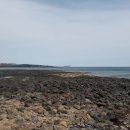 대평공원 이미지