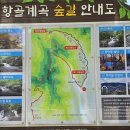 2026년 08월 15일 강원 정선"항골계곡" 정기산행 = #37 이미지