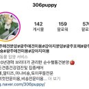 306 퍼피 이미지