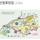 한라산둘레길 수악길 | 봄야생화가 지천으로 피어있고 편백나무숲이 아름다운 한라산둘레길 1코스 부터 5코스까지