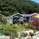 내린천아름펜션 이미지