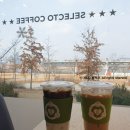 셀렉토커피 세종시청점