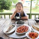 캠파제주 | 제주도 서귀포 캠핑장 캠파제주 글램핑 A2후기