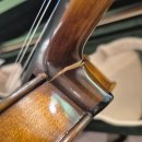 효정 바이올린 HV-250 구입 후기ㅣ성인 취미 바이올린 🎻