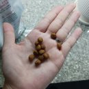 이지힐메딕스 이미지