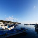 대진항 대게공원 이미지