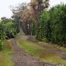 별별,당근이야기 이미지