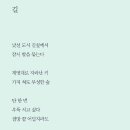 박성임 단시조집 / 시간의 무늬 이미지