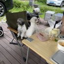 구리토평가족캠핑장 이미지