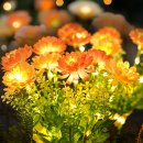 신성무역 이미지