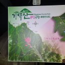 버스정류장 07-055 | 기금거황종주 GPS트랙