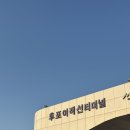 떳다노래방 | [25.08.2~4] 울릉도 가족여행🚢 DAY1