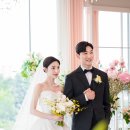 쌈바스냅 | 다이시스웨딩 본식 스냅 예약 후기