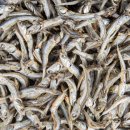 안성젓갈 이미지