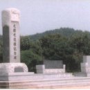 의사소몽 채기중 순국기념비 이미지