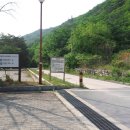 용하천 Daum카페