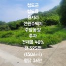 음지리농장 네이버블로그