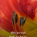 8월 16일 (일자로 쓰는 삼행시) 이미지