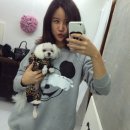 에이낙인베스트 | 떼오로언니 어쩌구 저쩌구 /닐바렛 미키 맨투맨 /오름/영천영화/양식당/투뿔등심/