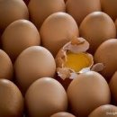 생활영어(실용) 이미지