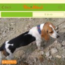 우리가축병원 이미지