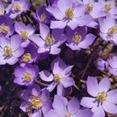 행주농장 이미지