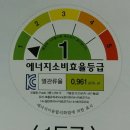 마젤란 카카오 검색결과