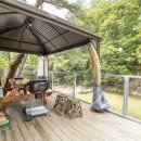 소나무세상 이미지