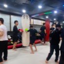 국제체육관미아점복싱무에타이MMA주짓수 이미지