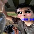 서촌교 - 강화군 | 서촌교