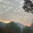 덕현목장 이미지