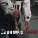 오목로3길 | &#39;25.11월 결산 | 화담숲 하늘공원 창경궁 결혼식축가 일상 데이트