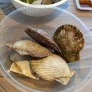 내가면-3 | [인천 강화군 내가면] 외포항 강화 수산시장, 해산물 및 젓갈 '백양호'