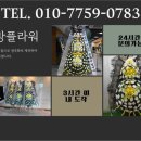 함백산플라워