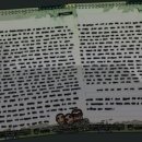 신교대마트