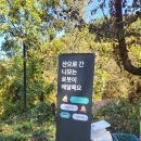 가평캠핑장 할로윈주말 방문후기