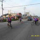 송림로 167 Daum카페
