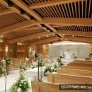 단아컴퍼니 이미지