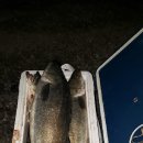 빛고을의료기 이미지