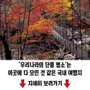 인기 단풍길 여행 이미지