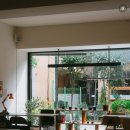 카페 어떤오후 청주 성안길 <b>카페</b> 언씬, 도심 속 여유로운 무드