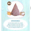 해동기획 - 중랑구 용마산로 559 | 6년차 고인물이 말아주는 2026 머시페 머드시크릿페스티벌 후기 _ 머드스콘