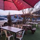 김유정로 | 김유정역 레일바이크 바로 앞! 아이와 가기 좋은 '카페 봄봄' 내돈내산 망고요거트 후기