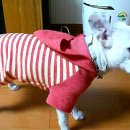 양재수선(중급) 이미지