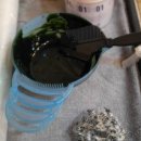 헤어도도(DODO) 이미지