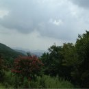 동행자 이미지